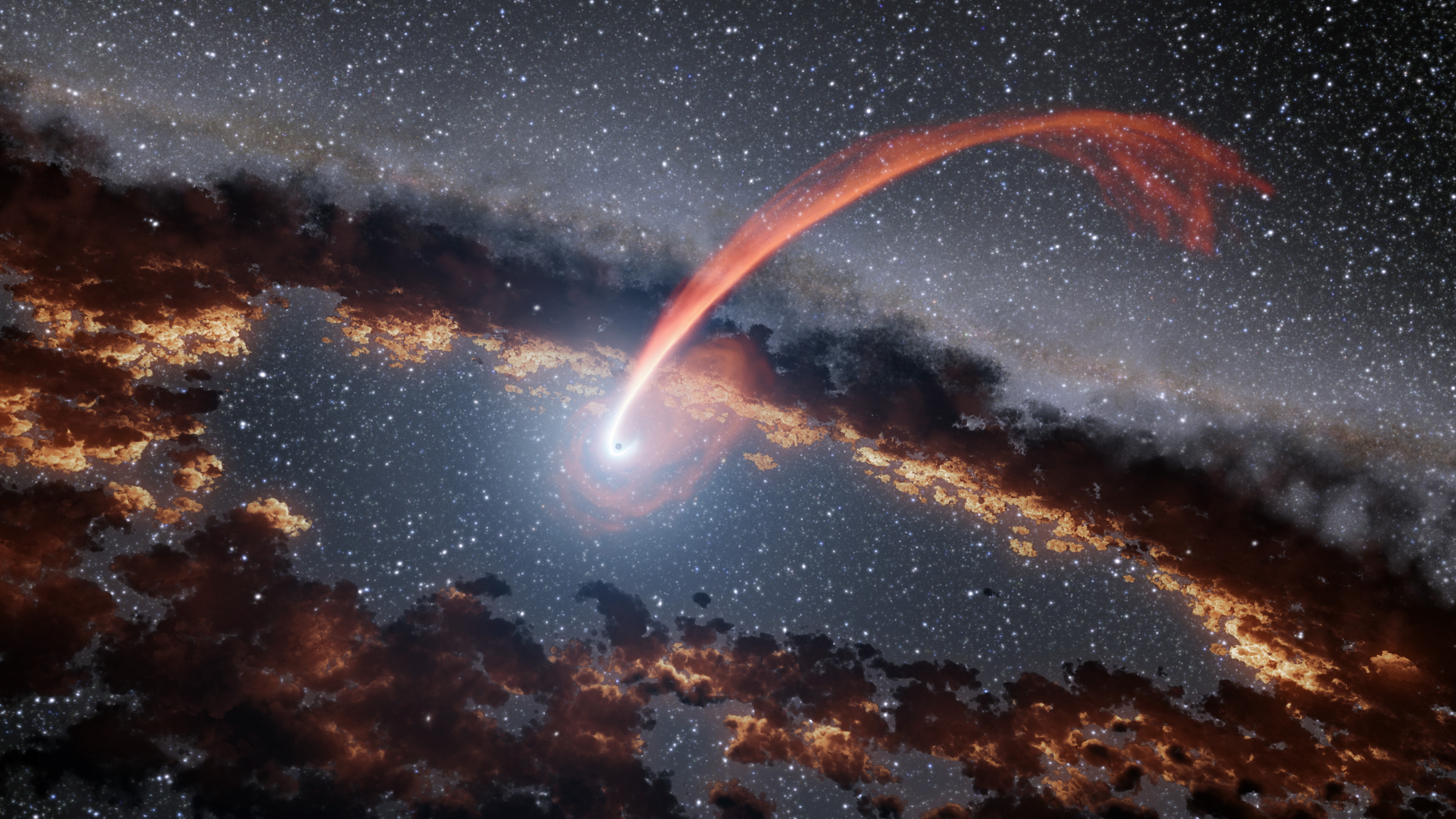  Infrared Echoes of a Black Hole Eating a Star